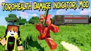 Minecraft torohealth как настроить